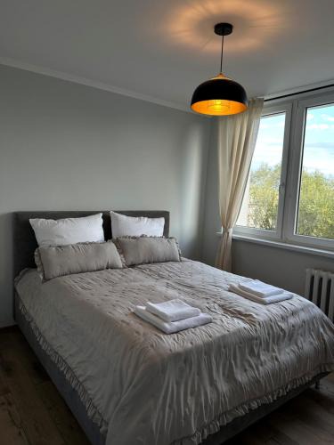 Ciechocinek Apartment | Zdrojowa 39