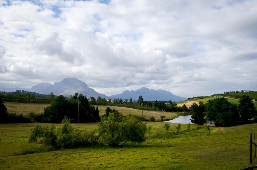 Stellenbosch Hotel | Zebra Cottage and Lodge