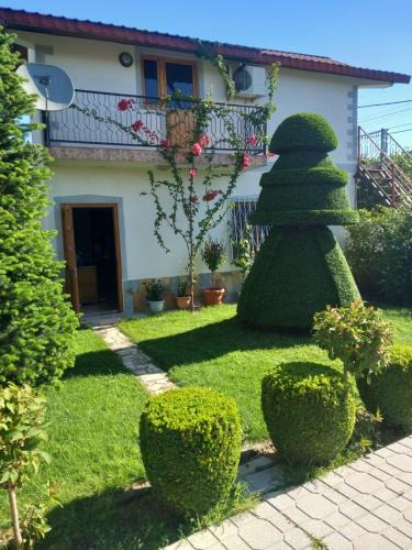 Shkoder House | Zekajs Home
