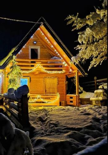 Olovo House | Zelena čarolija