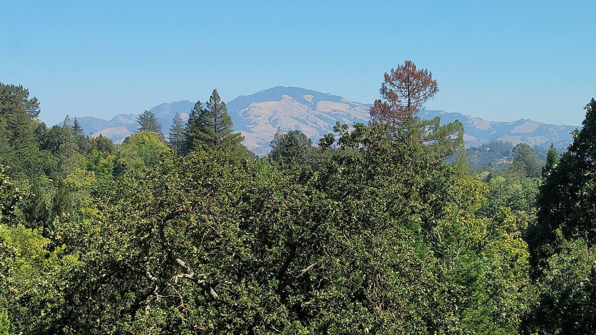 Stanley House | Zen Garden Getaway w/ Mountain View