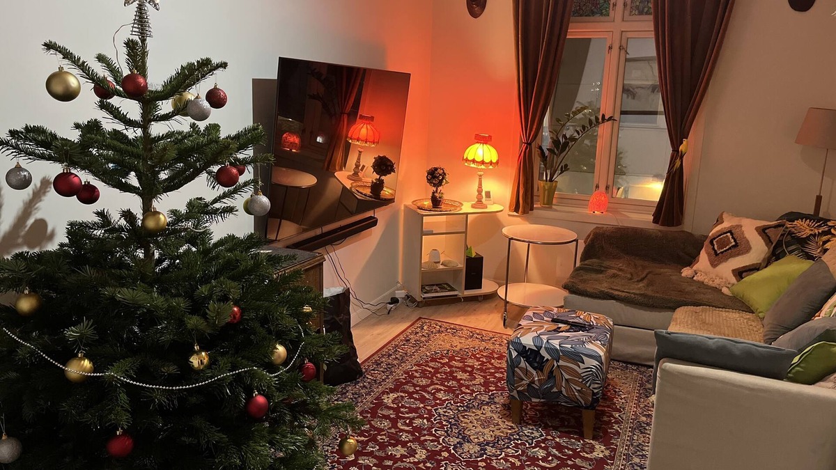 Oslo City Centre Apartment | Zen house for healing stay Oslo Norway, walks away from Train and Bus stations❤️