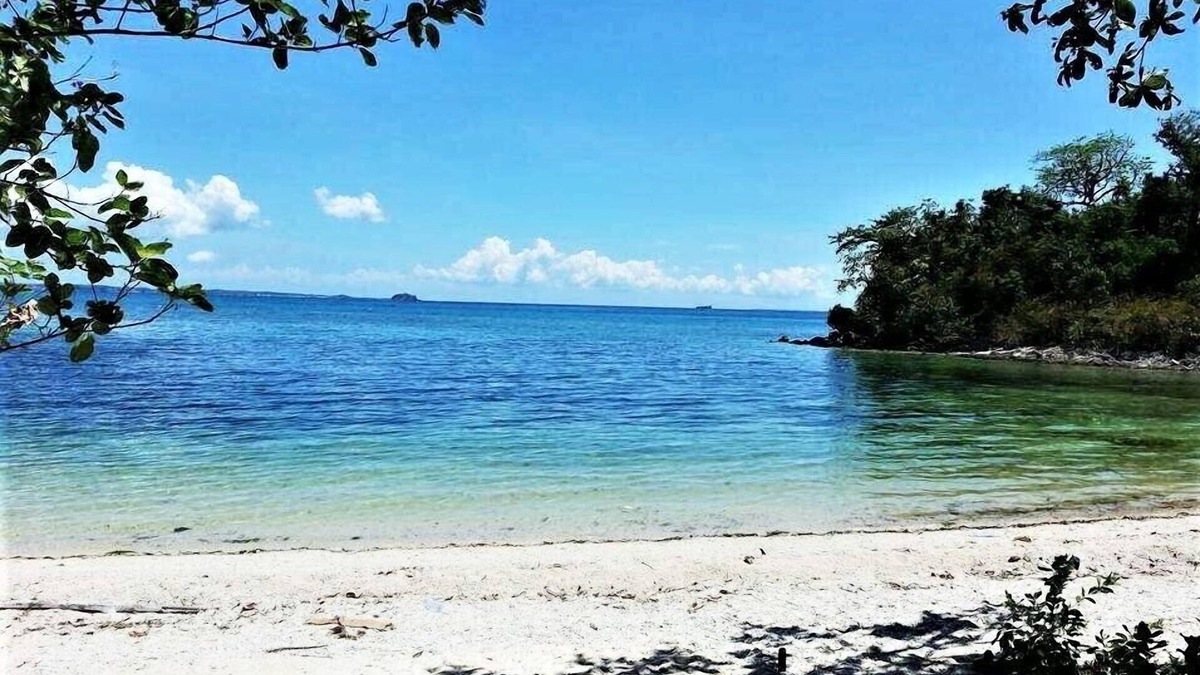 Daanbantayan Hotel | Zhang Resort and Dive Center OPC