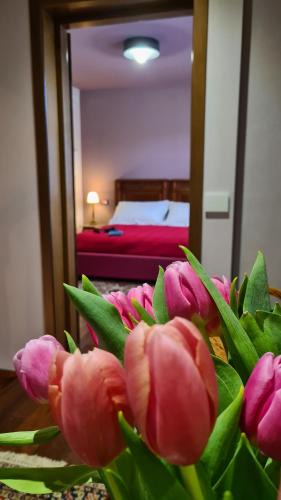 Palmanova House | Zi Bitta - guest house
