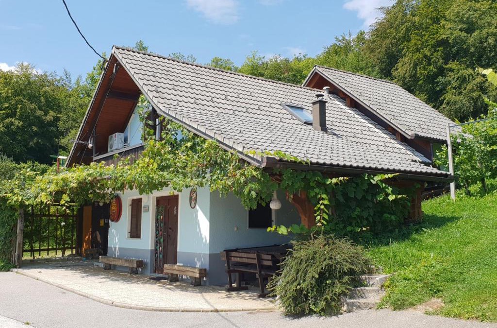 Trebnje House | Zidanica Meglič - Vineyard cottage Meglič
