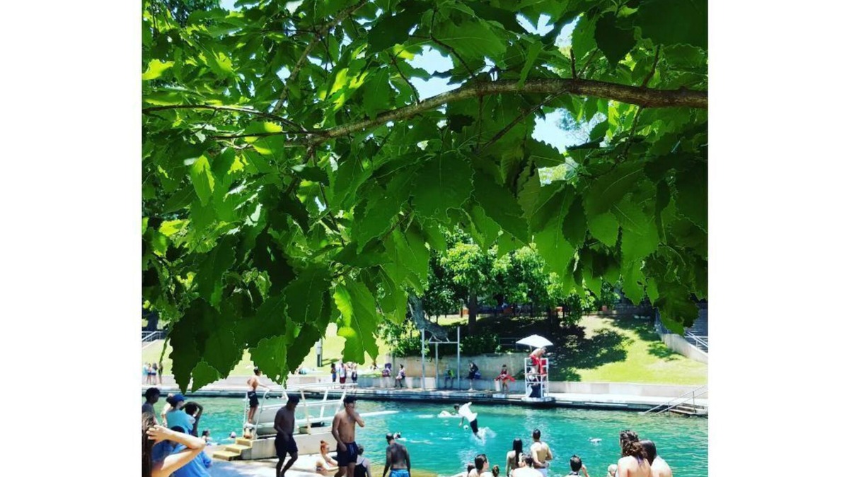 Zilker House | Zilker Summer Vacation Rental - Walk to Barton Springs Pool & Hike + Bike Trail
