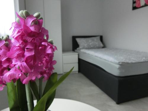 Vaihingen an der Enz House | Zimmer Enzjan