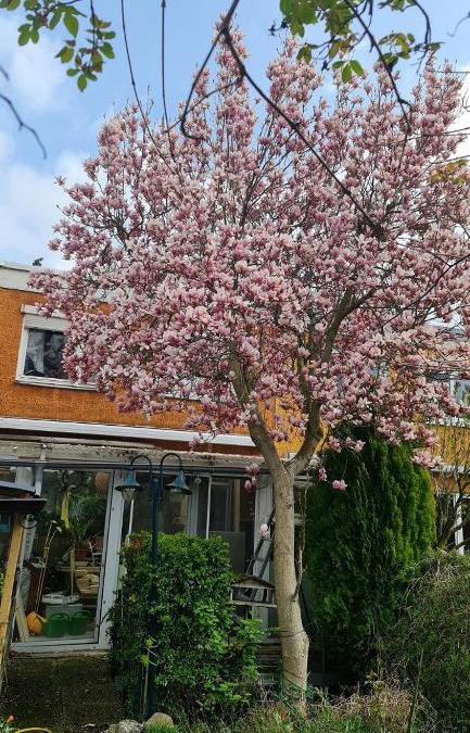 Rudow House | Zimmer mit optimaler Verkehrsanbindung und vielen Extras in Berlin-Rudow