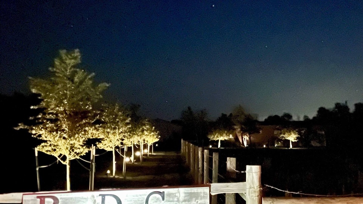 Round Top Cabin | Zoe Cabin - Black Dog Cabins - Round Top, TX