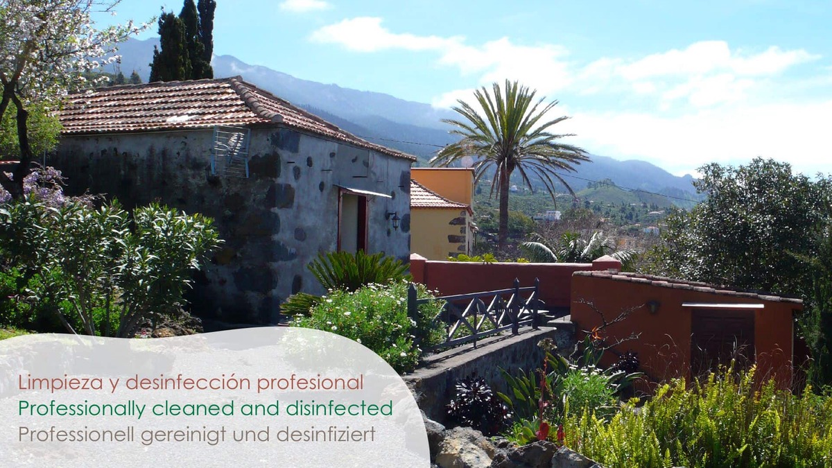 Los Llanos de Aridane House | Zoila House, in Tajuya