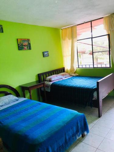 Tena House | Zumag Sisa