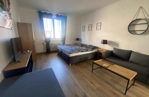 Plzen 2-Slovany Apartment | Černá Růže - Apartmán 4