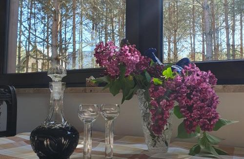 Susiec House | Święty Spokój Roztocze