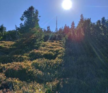 Jesenik House | Štempel Karol , Bělá pod Pradědem, Domašov 412