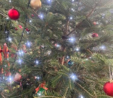 Agrafa House | ΜΑΡΙΓΟΥΛΑΜ