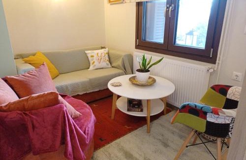 Karpenisi Apartment | Το Σπίτι Της Ευτυχίας στούντιο