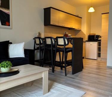 Shiligarnika Apartment | Апартамент Рафаела-Мартина Регнум