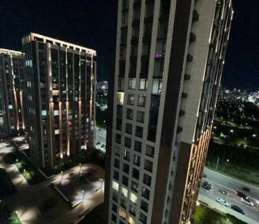 Ulytau District Apartment | Ботанический Сад