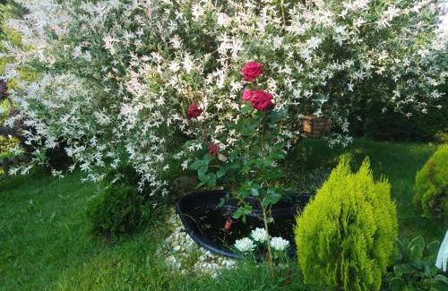 Razlog Villa | Вила Свети Георги