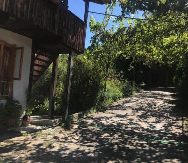 Elena House | Вила Чевермето