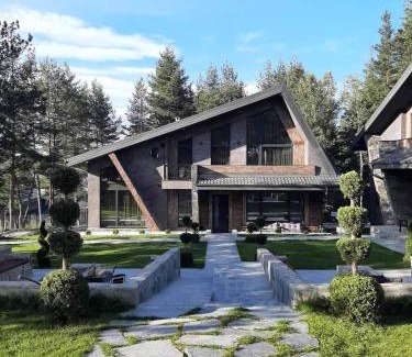 Tsigov Chark Villa | Вила Bora Vista 1