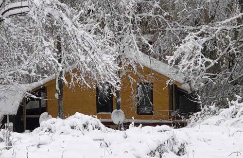 Aytos Cabin | Рибарник Forest Мagic