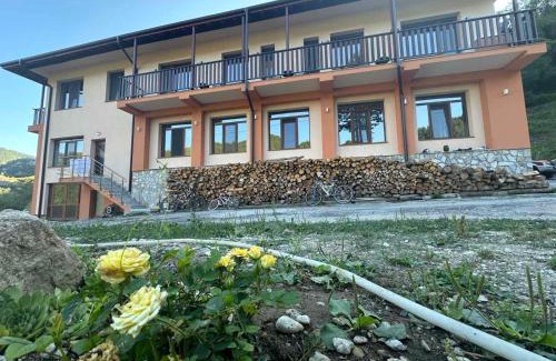 Devin House | Стаи за гости Куцеви