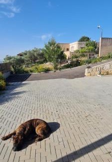 Isfiya Apartment | הבית על ההר בכרמל