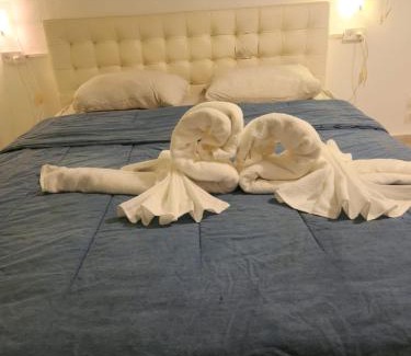 Haifa Apartment | הפנינה בכרמל