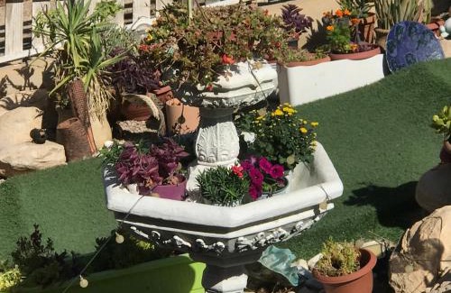 Arad Cabin | סוויטות עין השמש eye sun