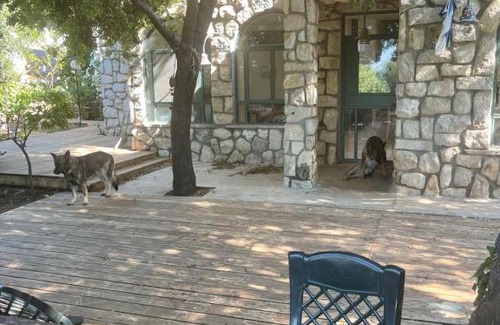 Mitzpe Hila Bed & Breakfast | פינה ירוקה בגליל