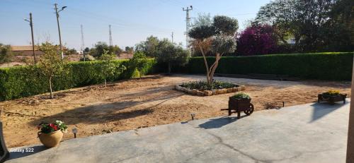 Sapir Apartment | שקט בערבה