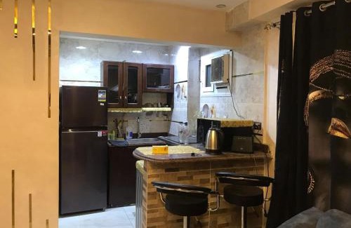 Nasr City Apartment | استوديو مدينة نصر