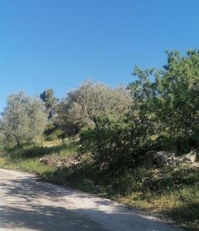 Ajloun Apartment | روابي عجلون منزل