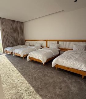 Al Hadd Ski Chalet | شالية هواك