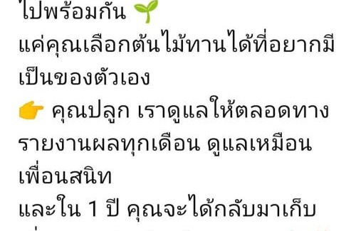 Chom Thong House | บ้านสวนกางโต้ง Ban Suan Kang Tong