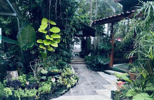 Samoeng Resort | บ้านสวนวิวทุ่ง
