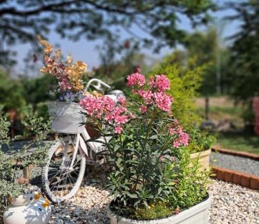 Nong Sarai House | บ้านเป็ดน้อย Little duck cottage