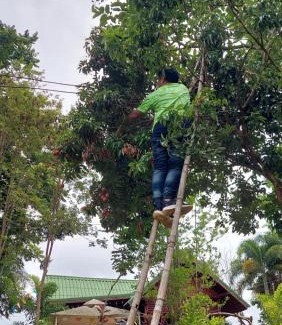 Khao Kho House | บ้านเพลินภู