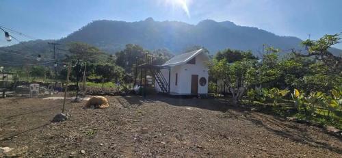 Chiang Dao House | ปิงโค้งเม้าท์เท่นวิว