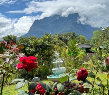 Chiang Dao Bed & Breakfast | ม่อนหมอกเชียงดาว