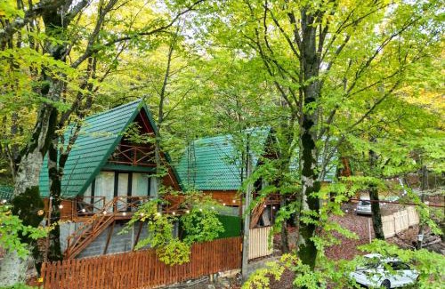 Mtskheta House | კოტეჯები ჩრდილში - Cottages in the shade