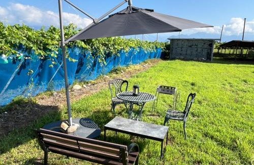 Kofu House | ぶどう畑に囲まれた貸切宿 バーベキュー可能 白百合醸造から徒歩すぐ"Vineyard Vista" Vacation rental BBQ permitted short walk from Winery