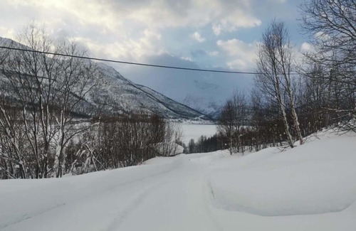 Balsfjord Cabin | 极光民宿Northern Lights
