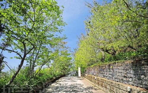 Ren'ai House | 清境 百里莊園 Baili Manor Cing Jing