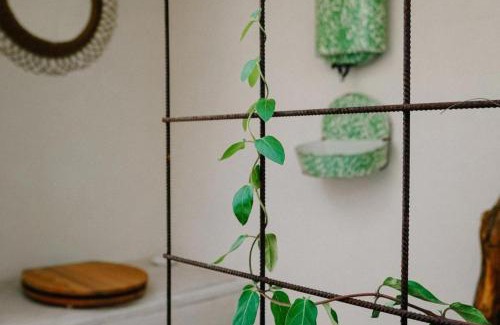 Jemelle House | 1 Bed Tiny House Sleeps 2 -Hot Tub -Coal Fireplace