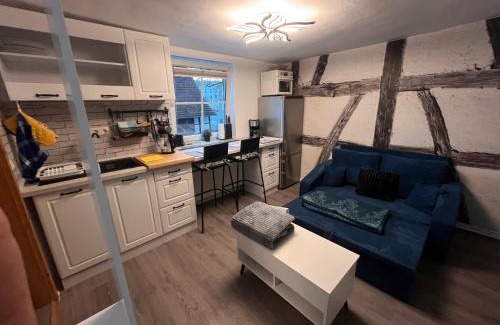 Ilversgehofen Apartment | 1-Raum Ferienwohnung