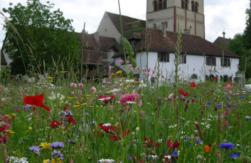 Reichenau Apartment | 1-room apartment, 25sqm, 1 living/bedroom, with fireplace, max. 2 persons
