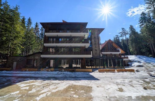 Panichishte Hotel | 103 Alpine Hotel