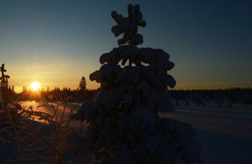 Ljordal Apartment | 12 - Fulufjellets nasjonalparker - snow - alpint - langrenn